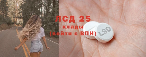 дживик Бородино