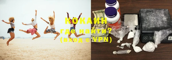 дживик Бородино