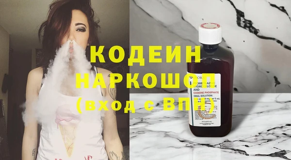 дживик Бородино
