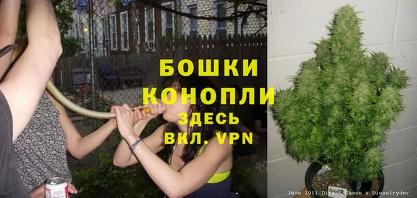 гашик Бронницы