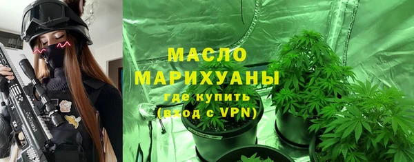 дживик Бородино