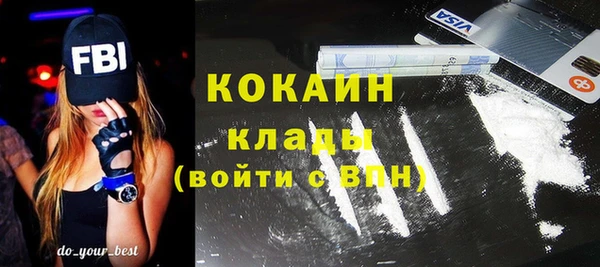 дживик Бородино