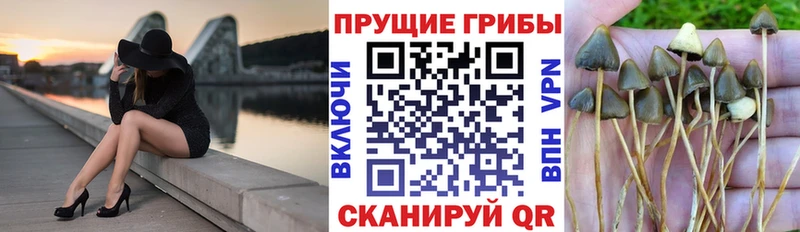 Псилоцибиновые грибы мухоморы Вельск