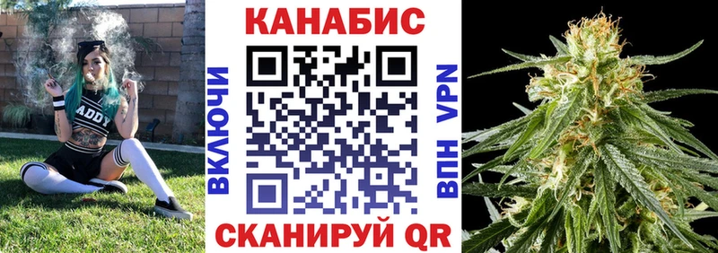 как найти   Вельск  Каннабис AK-47 